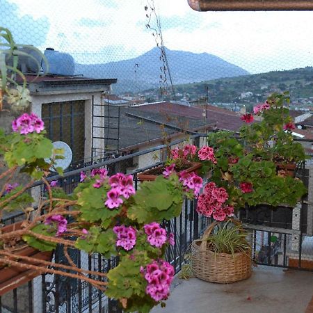 B&B Jolly House Bolognetta المظهر الخارجي الصورة